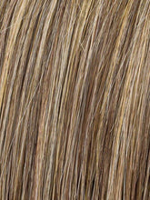 Anise | Synthetic Hair Ponytails (Clip In)